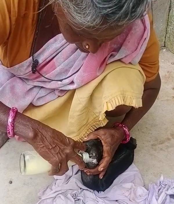  பால் பாட்டில் 