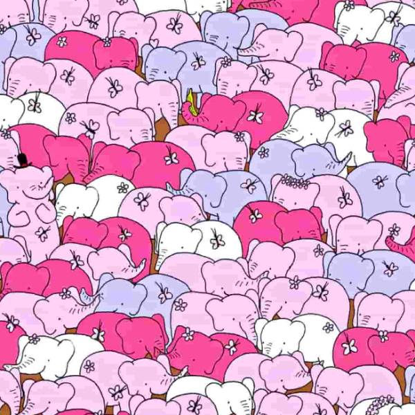 டிரெண்டிங் படம் 