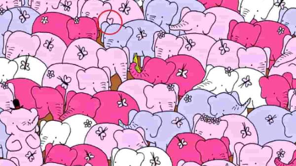 இதயம் எங்க இருக்குது 