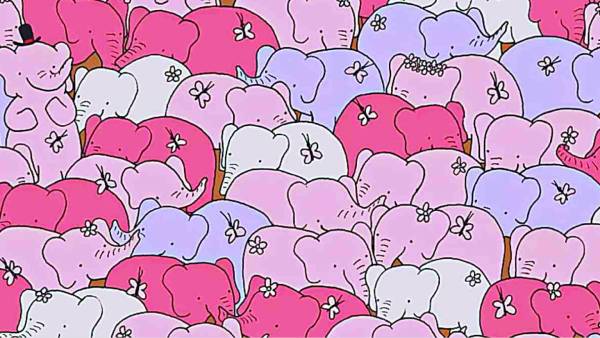 கண்களை குழப்பும் படம் 