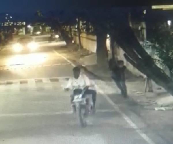 மர்ம கும்பல் அட்டகாசம் 