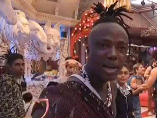 கால்நடைகள் 