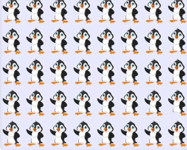 10 செகண்ட் டைம் 