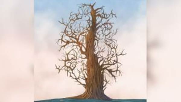 சரியாக எத்தனை முயல்கள் இருக்கிறது? 