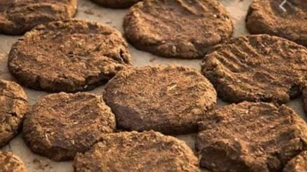 மாட்டு வறட்டி மாட்டு வறட்டி