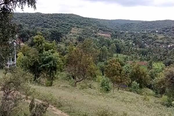 தமிழக பெண் நரபலி 