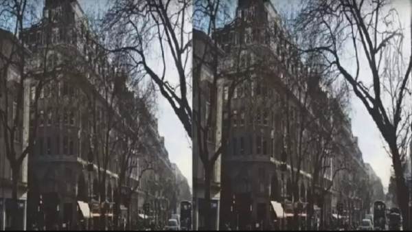 பென்குயின் எங்கு இருக்கிறது 