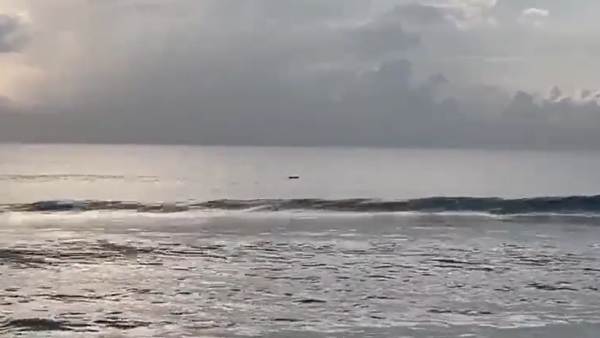 Dolphine has seen in Chennai Injampakkam beach early in the morning Dolphine has seen in Chennai Injampakkam beach early in the morning