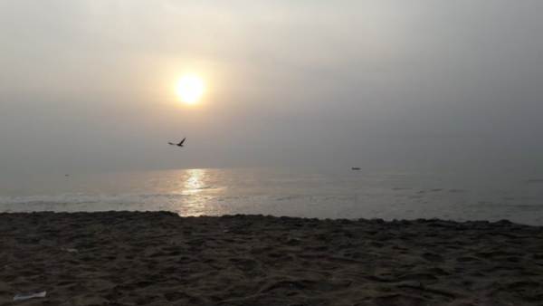 Dolphine has seen in Chennai Injampakkam beach early in the morning Dolphine has seen in Chennai Injampakkam beach early in the morning