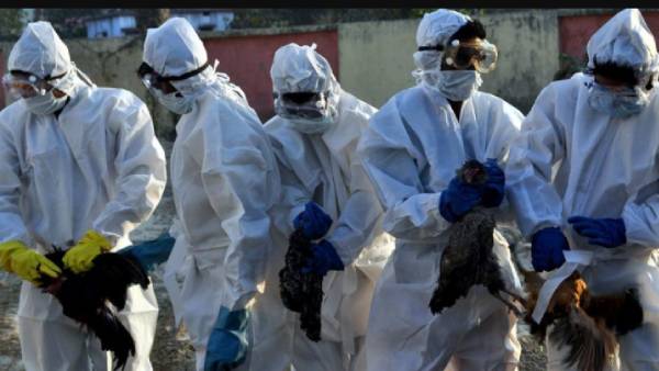 மருத்துவக் குழு 