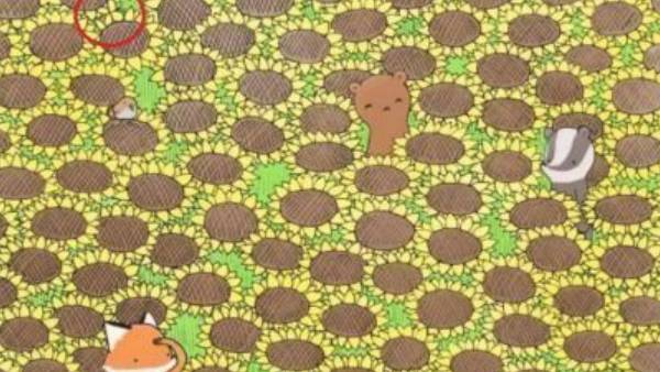 சற்று சிரமம் தான் 