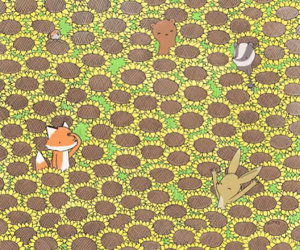 அழகான பட்டாம்பூச்சி 