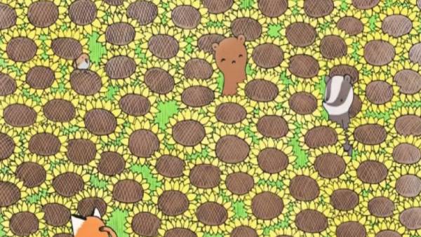  ஆப்டிகல் இல்லியூசன்