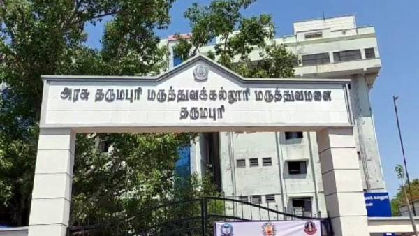 தாயின் அன்பு தாயின் அன்பு
