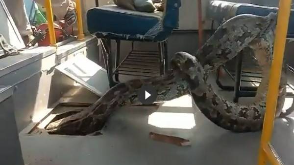  பஸ் இன்ஜின்