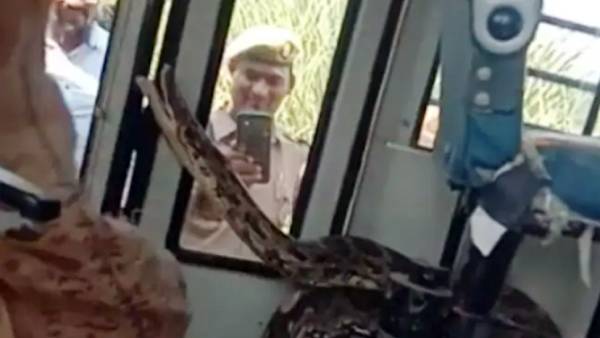  ஹாயாக பஸ்ஸூக்குள்