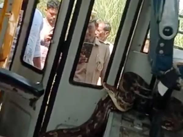 மூக்கணாங்கயிறு