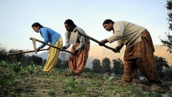 மானியம் எவ்வளவு? 