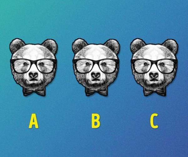 கண்டுபிடிக்க முடிந்ததா? 