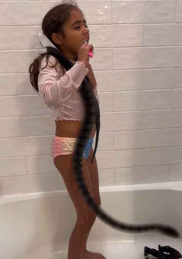  நாகப்பாம்பு