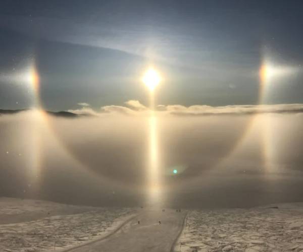 பகிரப்படும் படங்கள் 