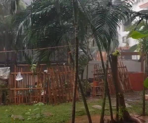 டயட்டால் சர்க்கரை நோய் டயட்டால் சர்க்கரை நோய்