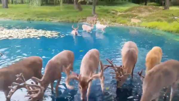 பூமியில் உள்ளதா? 