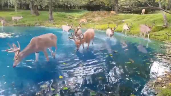 வெப்பநிலை 