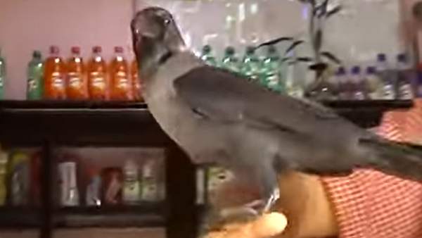  சிதறுண்டு போனார்கள்