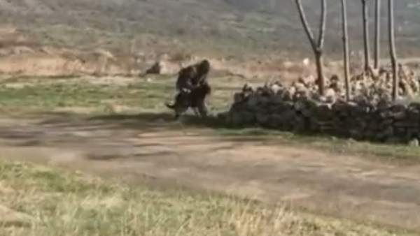 நடந்தது என்ன? 