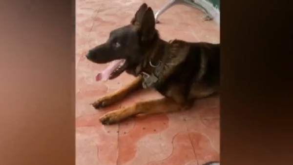 2 தீவிரவாதிகள் காலி 