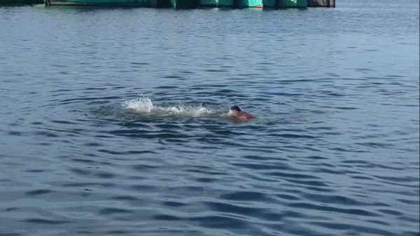  ஐட்ரீம் மூர்த்தி