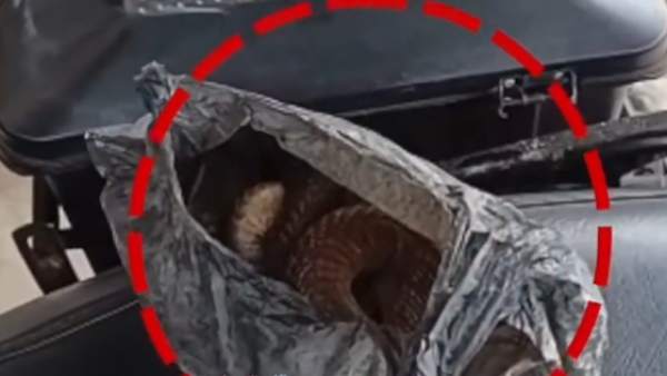 பாலித்தீன் பை 