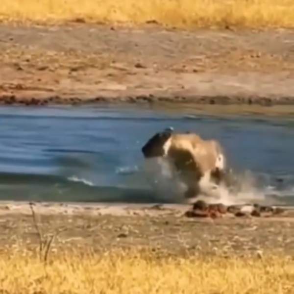  தப்பித்தால் போதும் என ஓட்டம் 