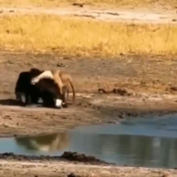 யாரையும் எளிதாக நினைத்துவிடக்கூடாது 