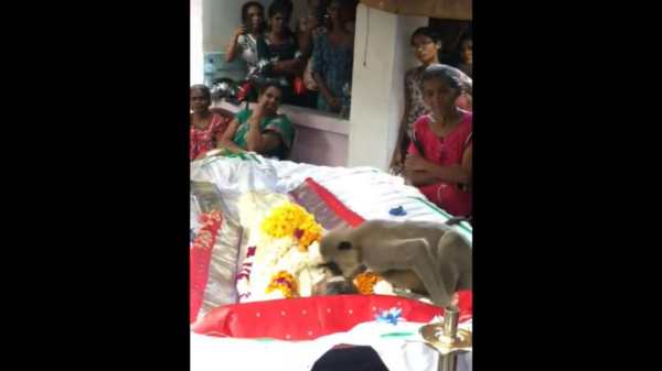  புரியவில்லை