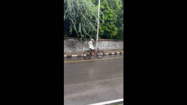 டிராபிக் ப்ரீ 