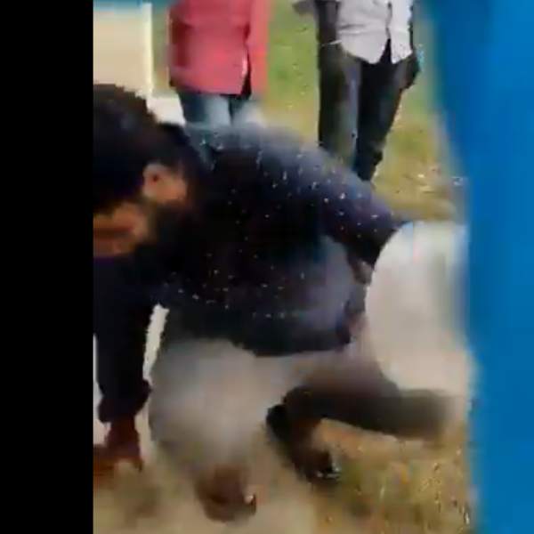  ராஜநாகம்