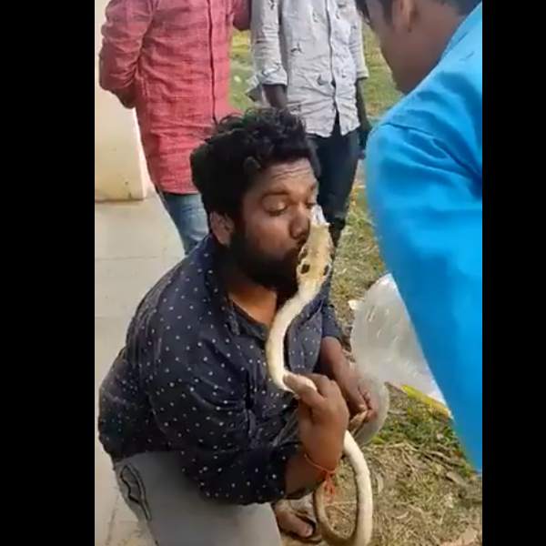  திடீர் முத்தம்