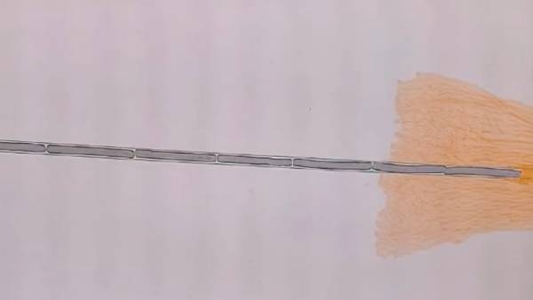 கடத்தல் தங்கம் 