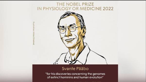 நோபல் பரிசு நோபல் பரிசு