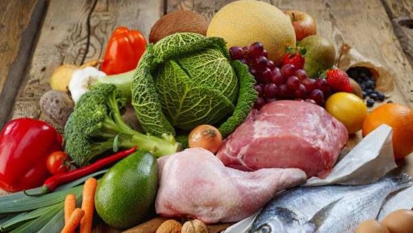  விலங்குகள் 