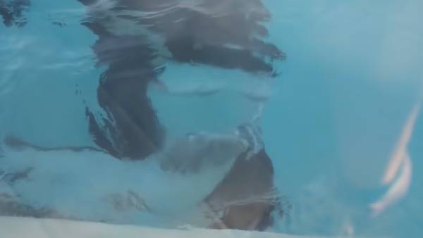  இறந்த மீனை வைத்து ஐடியா 