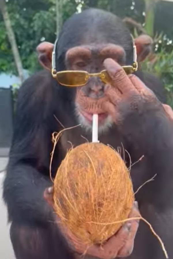 சன் கிளாஸ் அணிந்துகொண்டு 