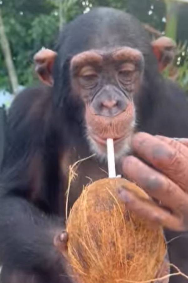 அதற்கென தனியாக இன்ஸ்டாகிராம் 