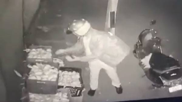  மயக்கிய மாம்பழ வாசனை.. 