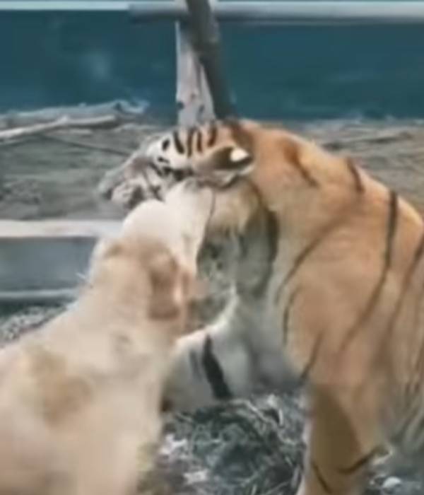 பிடியை விட்ட தருணம் 