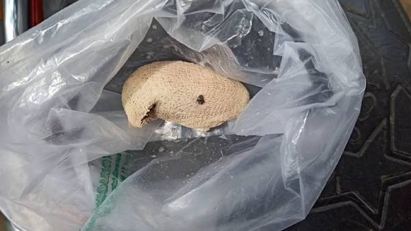 வயிற்றில் பஞ்சு 