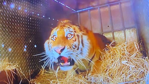  மீம்ஸ்கள்