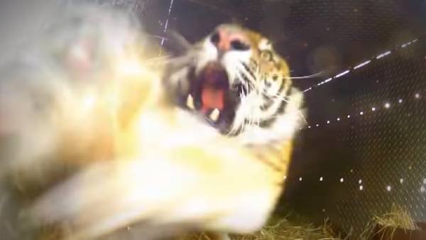 என்னா பயம்..